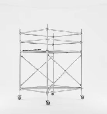 Custom-Built Multi-Directional Ring Lock Upright 2000mm Length Q355B Grade Custom for Your Specific Support Needs